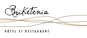 BRIKETENIA